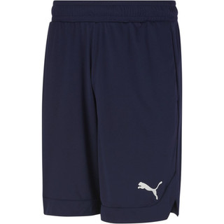 [CH] Quần short RTG shiny fabric Puma