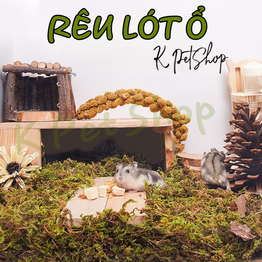 Rêu lót chuồng bò sát, chuột hamster, rắn, rùa, nhím, rêu lót ổ thú cưng nhỏ,  hãng JONSANTY