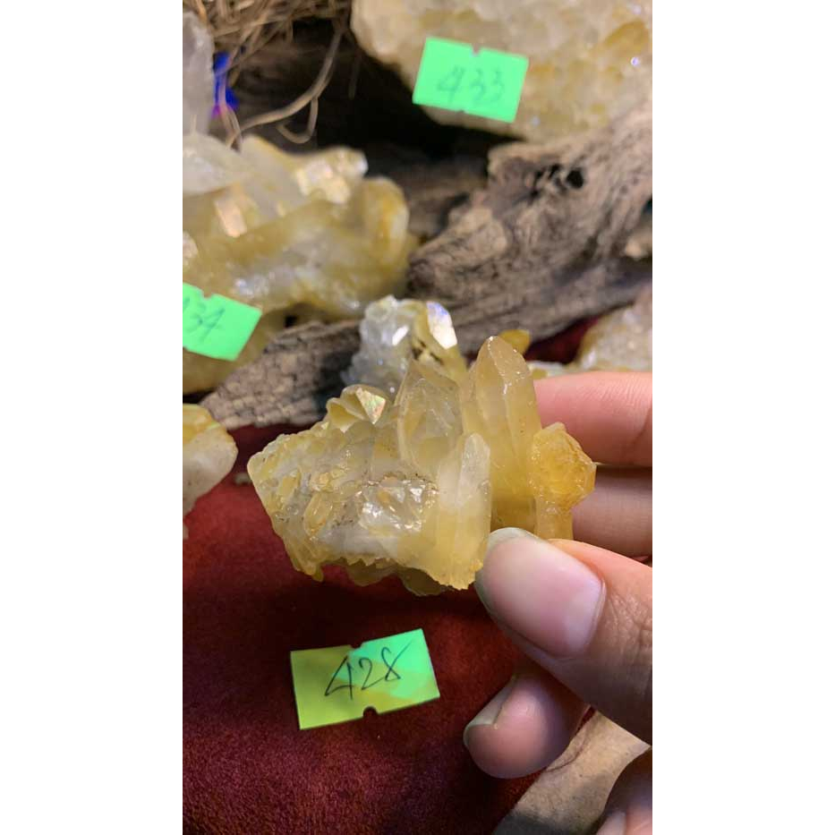 Đá stone Citrine thạch anh vàng tự nhiên phong thủy năng lượng vũ trụ mạnh thanh tẩy thiền định mã 428