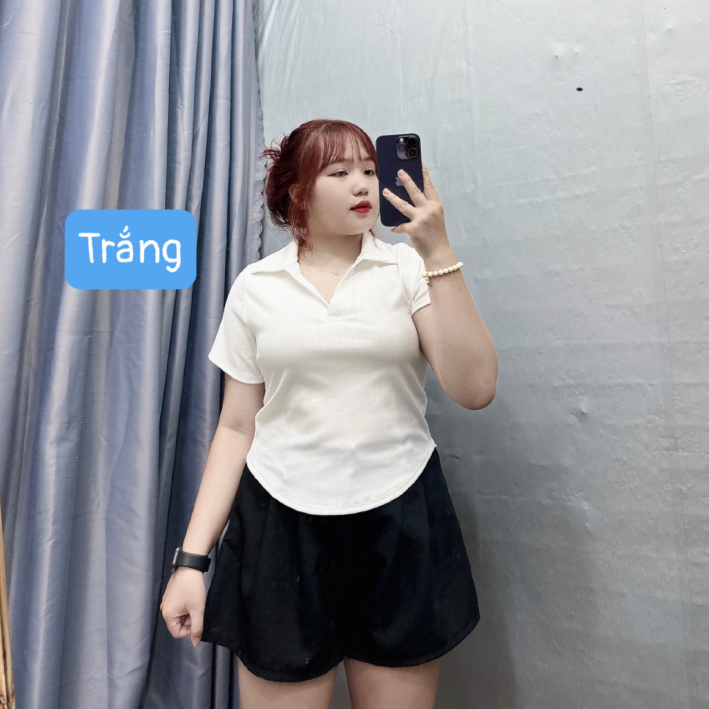 Áo thun Bigsize CÔ NHỎ chất gân tăm kiểu dáng polo xinh xắn dành cho các tình yêu 58-90kg-G120