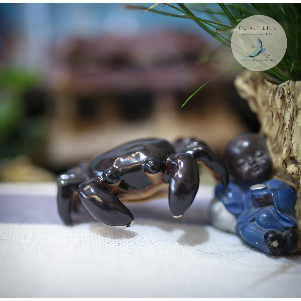 Đồ Chơi Bàn Trà,Thú Vui Tao Nhã Trên Bàn Trà,Pet, Đổi màu