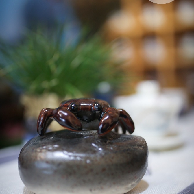 Đồ Chơi Bàn Trà,Thú Vui Tao Nhã Trên Bàn Trà,Pet, Đổi màu