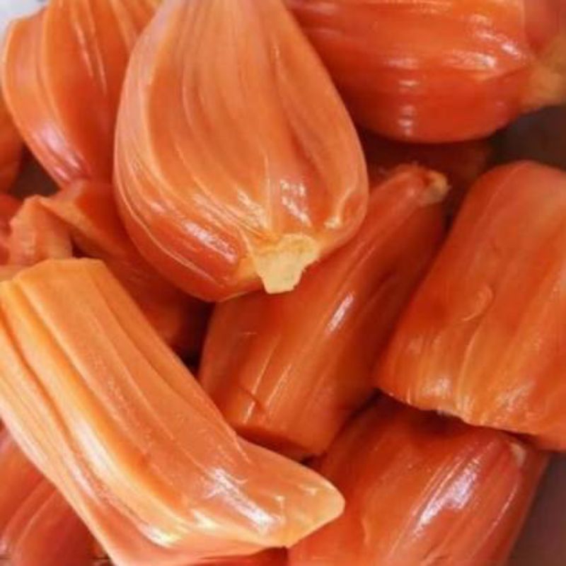 CÂY MÍT RUỘT ĐỎ GHÉP