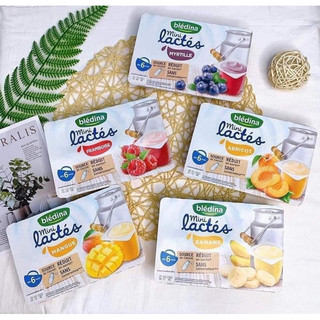 Sữa chua nguội Bledina lactes mini Pháp