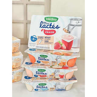 Sữa chua nguội Bledina lactes mini Pháp