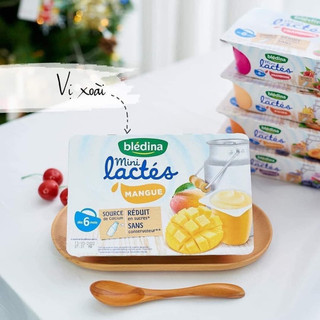 Sữa chua nguội Bledina lactes mini Pháp