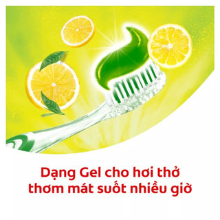 Kem đánh răng Colgate Vitamin C thơm mát 90g