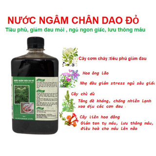 NƯỚC NGÂM CHÂN DAO ĐỎ đau nhức khó ngủ-trucquynh30042013