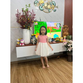 VÁY KẺ CARO HỒNG