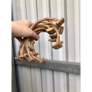 Cầu góc lồng chim chào mào cầu đậu cho chim chào mào cầu góc móng-ngựa