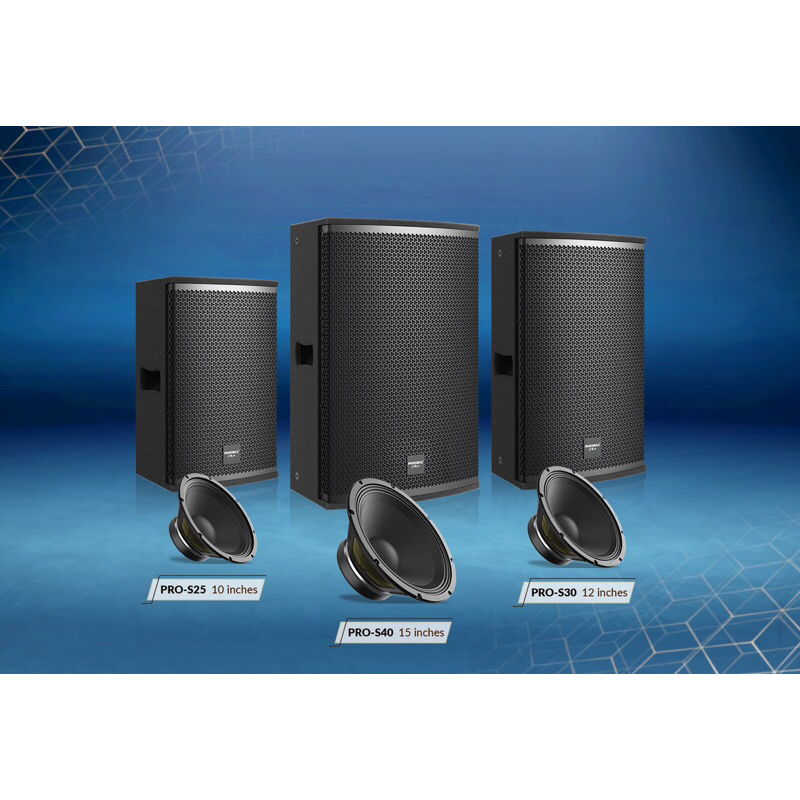 Loa Karaoke & Music chuyên nghiệp Paramax Pro S30