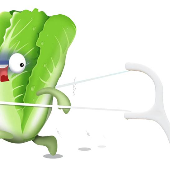 Sỉ 10 Hộp 500 Cái , Tăm Chỉ Nha Khoa Sợi Chỉ Mảnh Loại 1