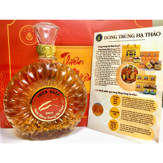 Chai XO Ngâm Đông Trùng Hạ Thảo Tươi Thiên Ngân Các Loại