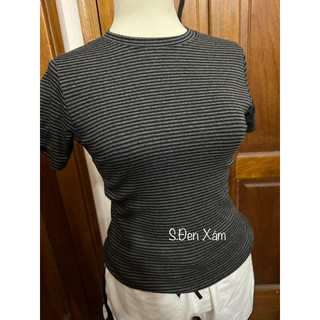 Áo Thun SỌC BODY BABYTEE( 40~50kg )