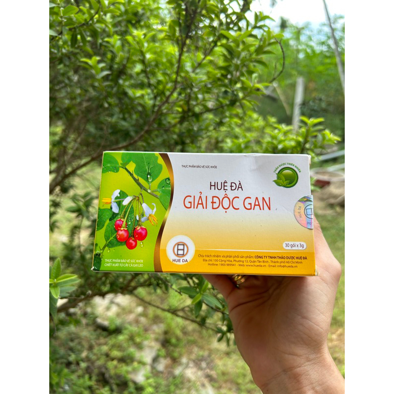 Huệ đà cà gai leo