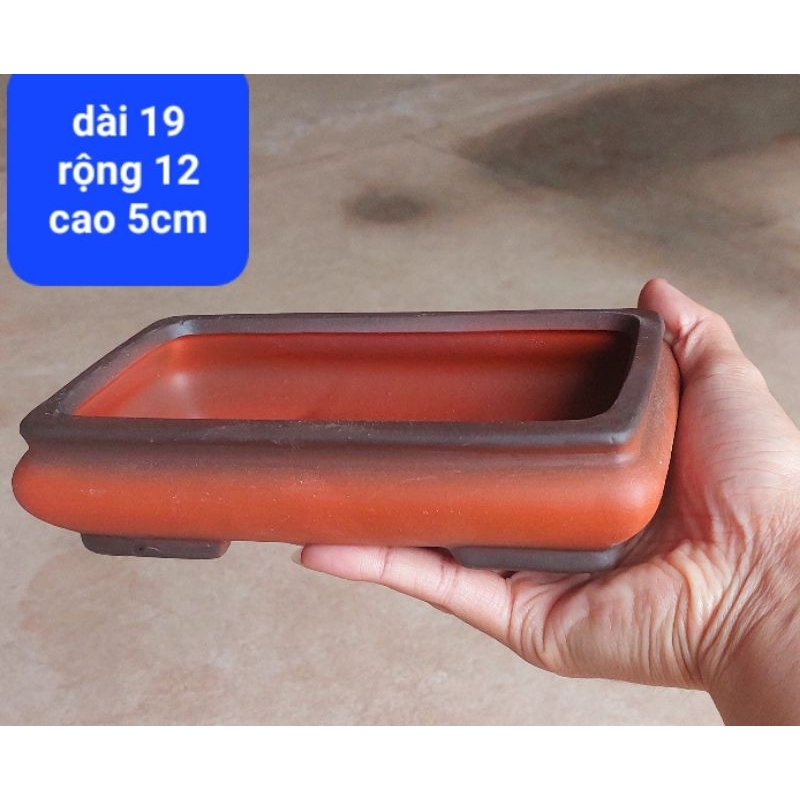 chậu gốm bo góc hình chữ nhật trồng cây bonsai mini