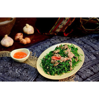rau bò khai( cây giống)