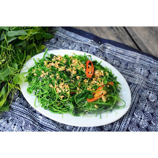 rau bò khai( cây giống)