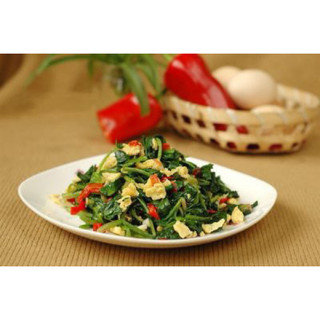 rau bò khai( cây giống)