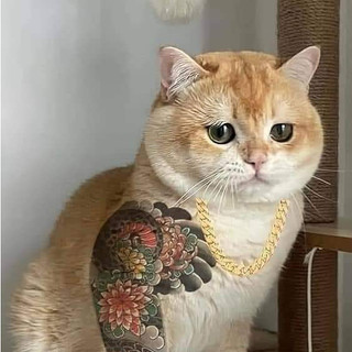 Tem rời in theo yêu cầu