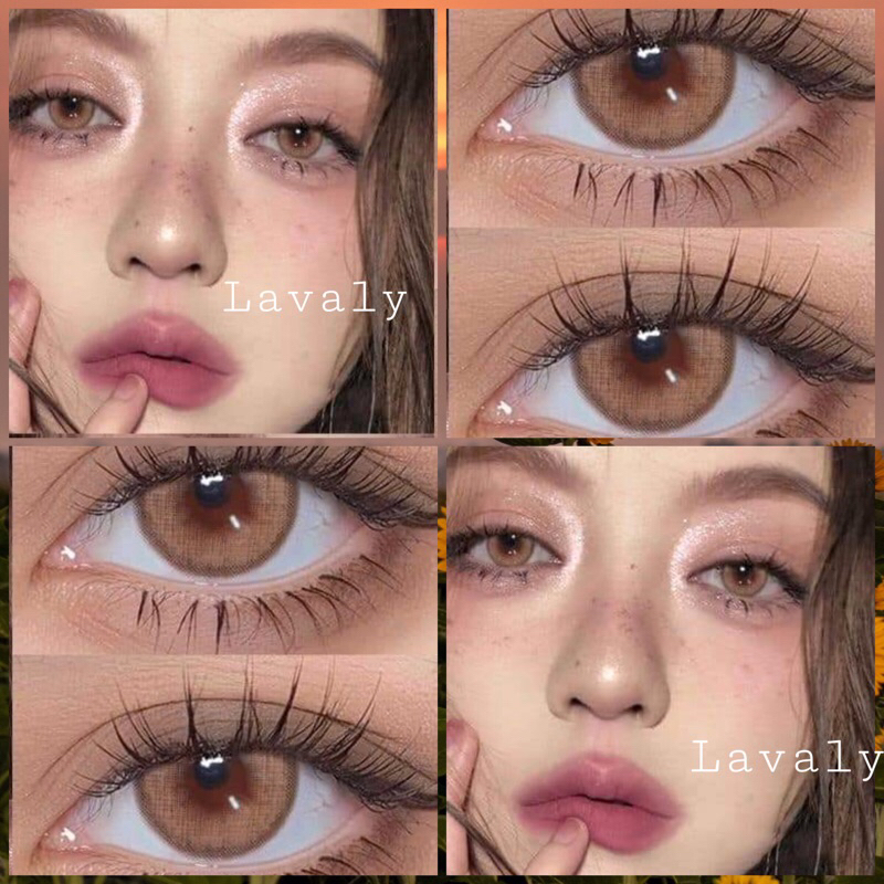 Lens thời trang màu nâu Tây viền tròn lên màu cực sang (giãn vừa)