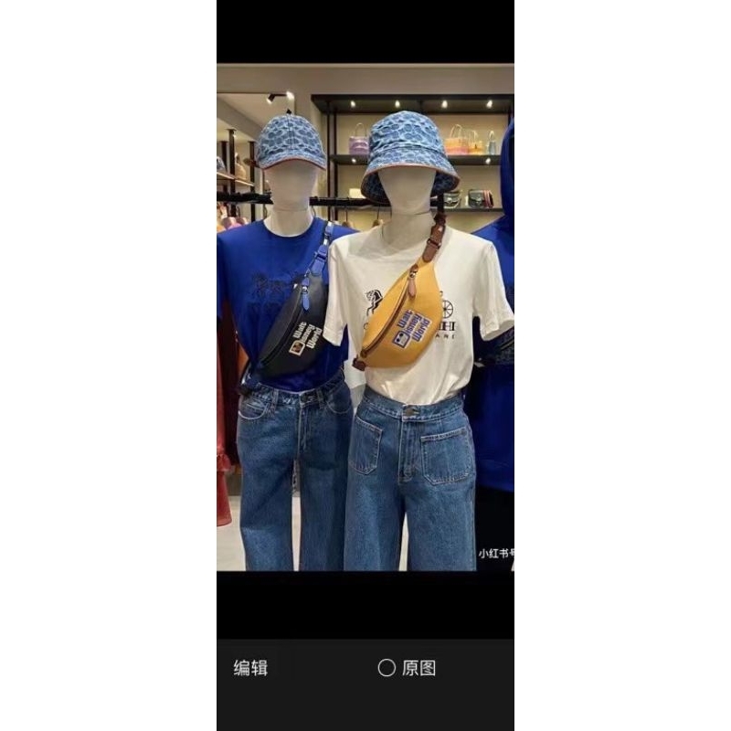 TÚI BAO TỬ BELT DISNEY x COACH CHARTER