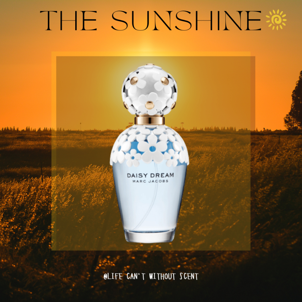 Nước hoa MJ Daisy Dream 5ml/10ml/20ml [ 𝓣𝓱𝓮𝓢𝓾𝓷𝓢𝓱𝓲𝓷𝓮 ]