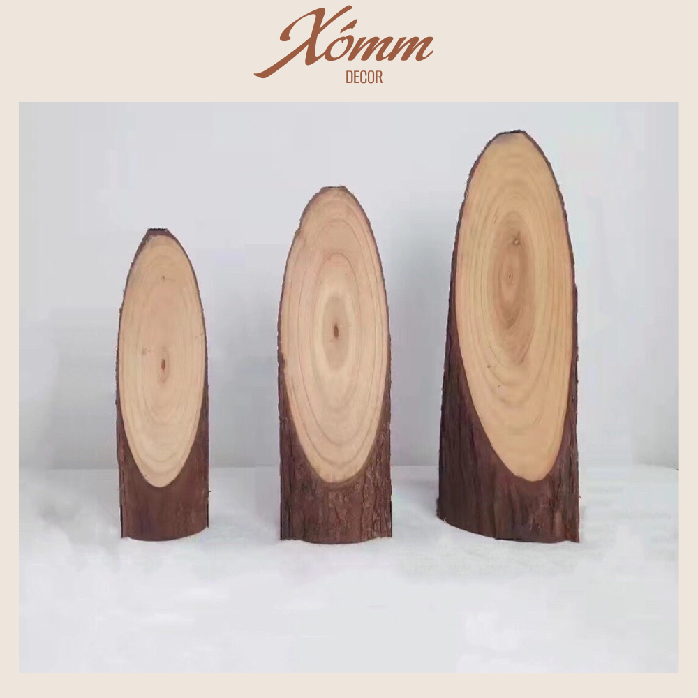 Khoanh gỗ cắt chéo trang trí,decor, chụp hình , làm góc học tập, cho bé tô vẽ, lát gỗ, khúc gỗ