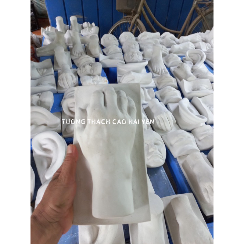 Khối Thạch Cao Bàn Tay