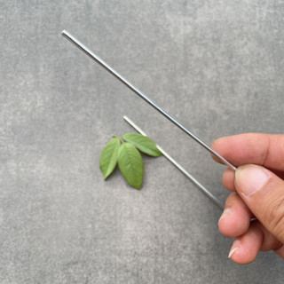Trục lắp bánh xe 2mm dài 10cm