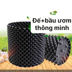 COMBO ĐẾ V6 + BẦU ƯƠM V6 (TỔNG KHO VẬT TƯ NÔNG NGHIỆP (CÓ THỂ XUẤT VAT)