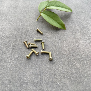 Bộ 10 cái ốc vít M2 dài 6mm