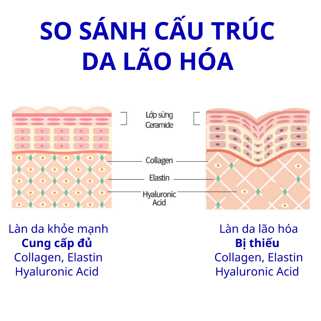 Combo Bột Uống BB LAB The Elastin và Low Molecular Collagen Bổ Sung Collagen Giúp Da Khỏe Mạnh Tăng Độ Đàn Hồi 30Gói/Hộp