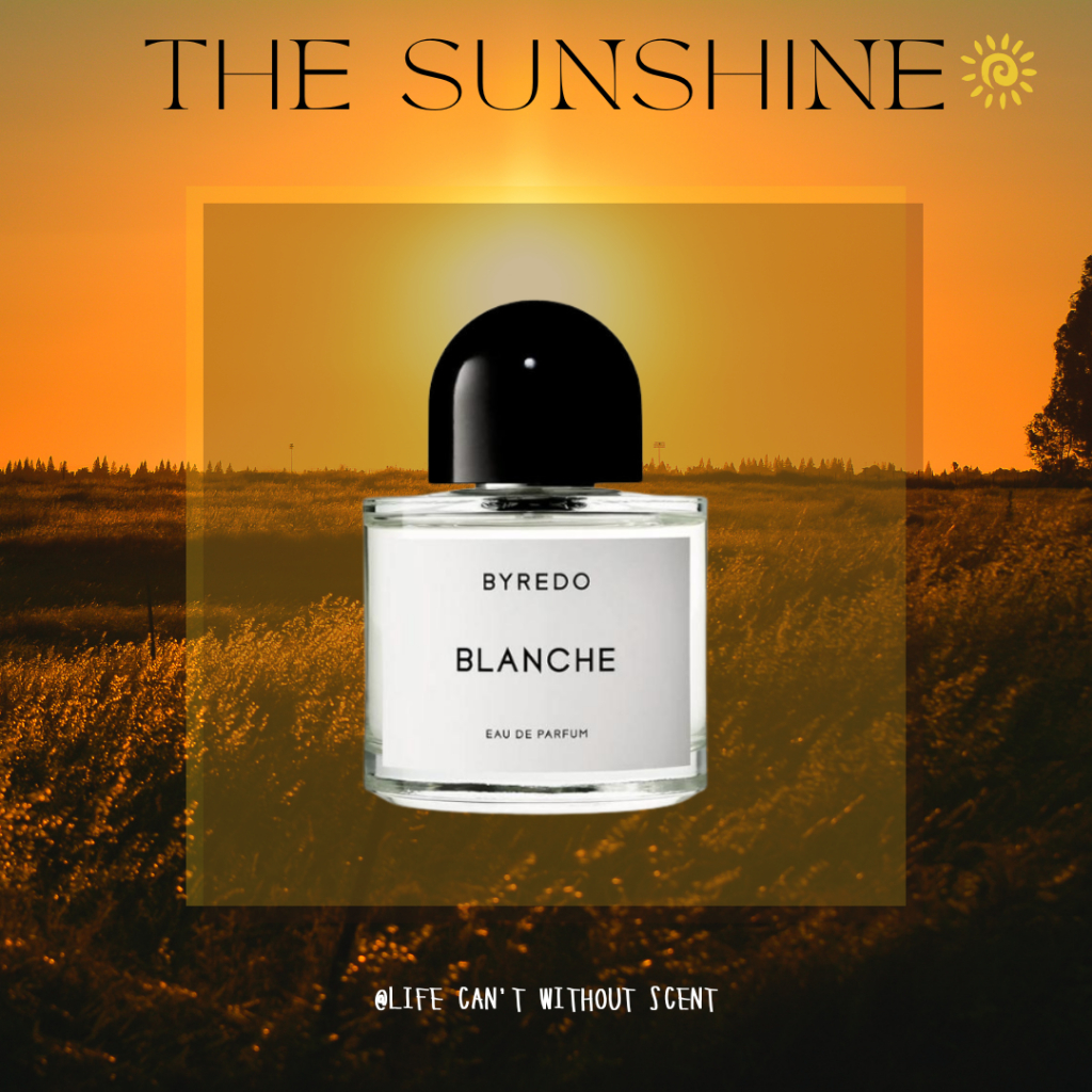 Nước hoa By.re.do Blanche 5ml/10ml/20ml[ 𝓣𝓱𝓮𝓢𝓾𝓷𝓢𝓱𝓲𝓷𝓮 ]