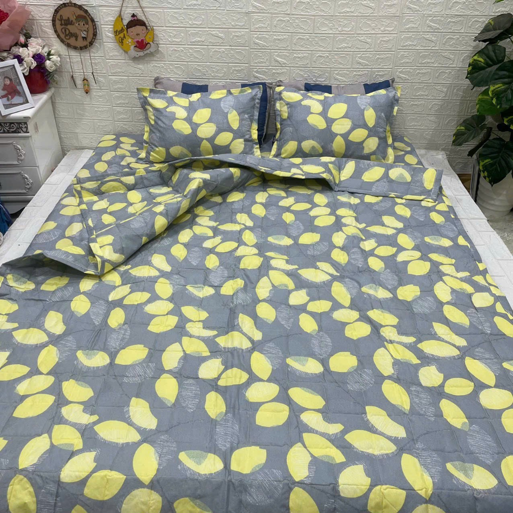 (Siêu đẹp) Chăn hè trần bông 3 lớp cotton poly siêu gọn nhẹ thấm hút mồ hôi tốt - nhiều mẫu - Khủng Long Hàn, Hoa lá,..