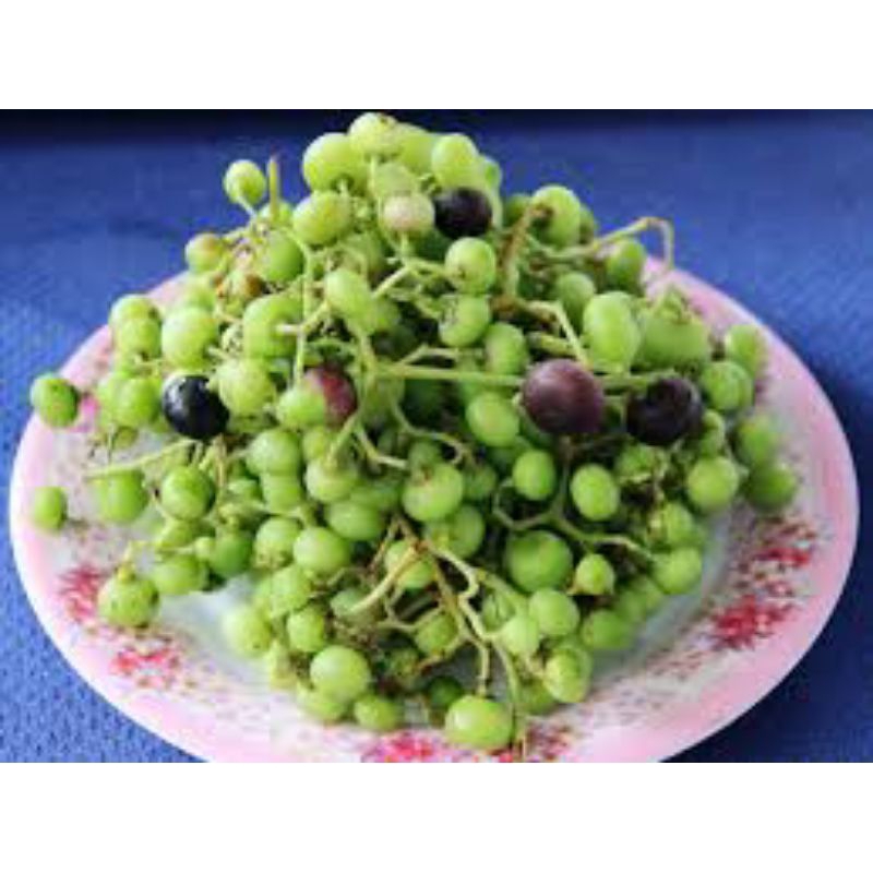 1kg trái giác xanh mọc tự nhiên