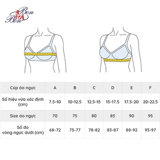 Áo Lót Nữ 50137 corele