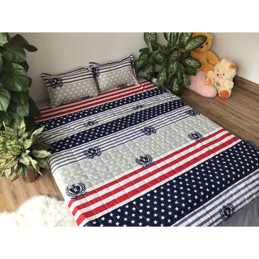 (Giá Sốc) Chăn hè trần bông 3 lớp cotton poly siêu gọn nhẹ thấm hút mồ hôi tốt - nhiều mẫu - Khủng Long Smile, Hoa lá...