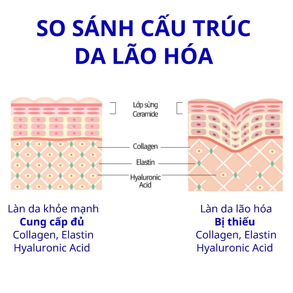 Combo Viên Uống Cấp Ẩm Và Bột Uống Đẹp Da BB LAB Tăng Độ Đàn Hồi, Giảm Nhăn, Làm Chậm Quá Trình Lão Hóa 30 Viên/Hộp