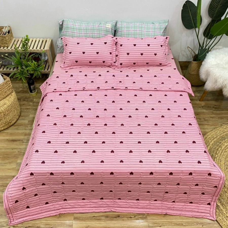 (Gì cũng rẻ) Bộ 5 món Chăn hè Ga Gối Poly Cotton bo chun miễn phí - Đủ size - Đủ mẫu - Hoa Nice Day, Gấu rich, Lá Tre,..