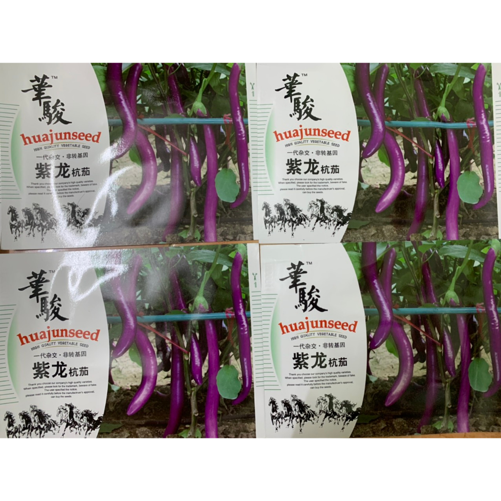 Hạt giống cà tím siêu dài nhập khẩu đài loan nguyên bao bì