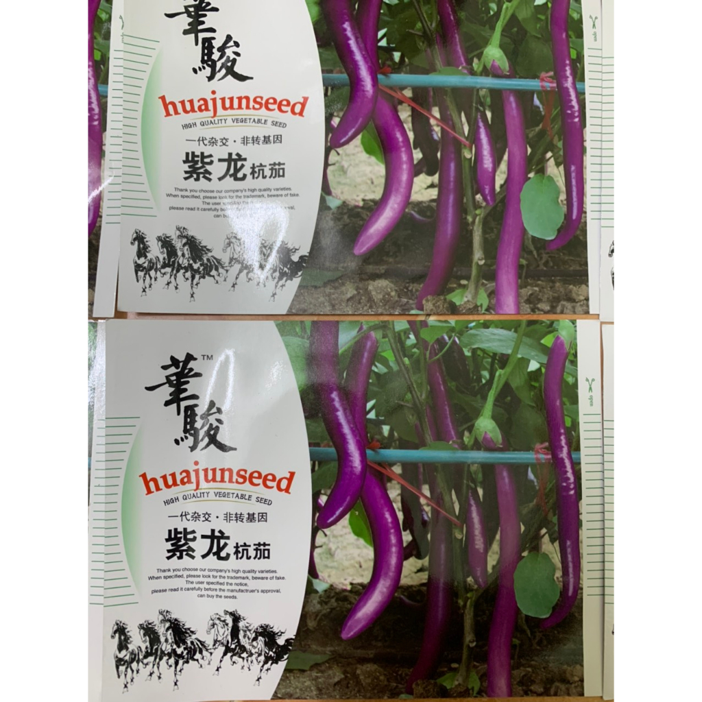 Hạt giống cà tím siêu dài nhập khẩu đài loan nguyên bao bì