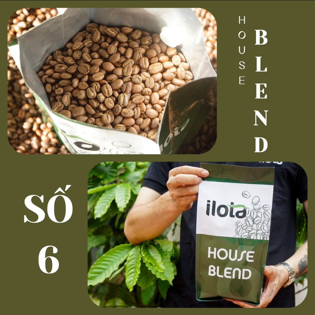 Cà phê nguyên hạt House Blend ILOTA 6 rang xay nguyên chất