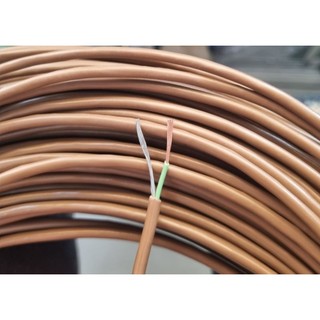 Dây tín hiệu bãi nhật nhỏ 1 tim 1 mát