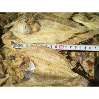 Khô Cá Dảnh (Cá Ngộ) Loại Ngon