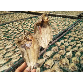 Khô Cá Dảnh (Cá Ngộ) Loại Ngon