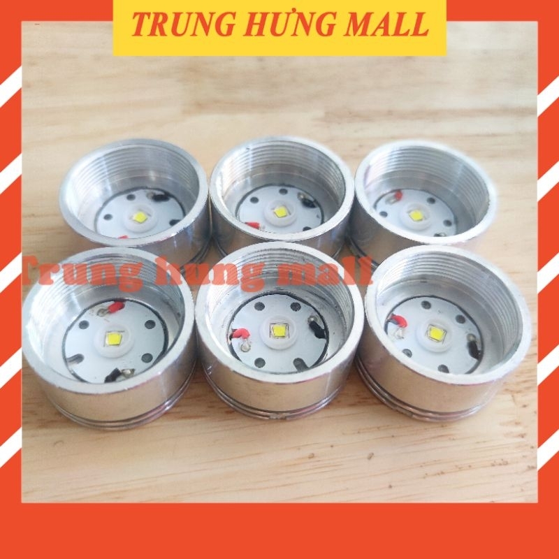 Bóng đèn pin lặn F8