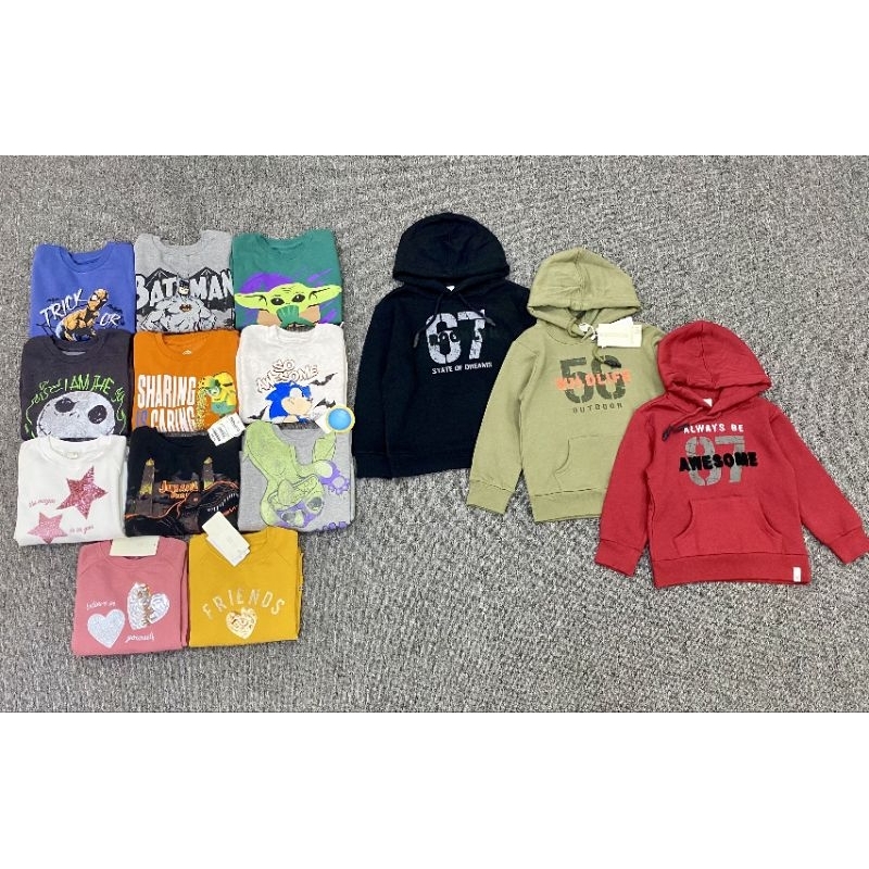 Áo nỉ bé trai bé gái dư xịn 2-10y link2