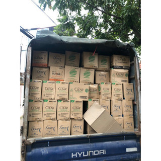 Dầu gội Clear 1.4kg Bạc Hà