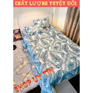 Bộ chăn ga gối hè cotton poly 💖5 món/set cotton 💖poly 5 món thoáng mát cho mùa hè